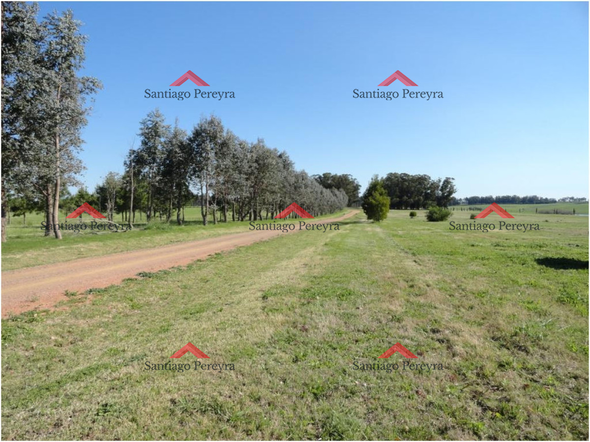 Terreno ID.11092 - Terreno en Punta del Este, Ruta Interbalnearia