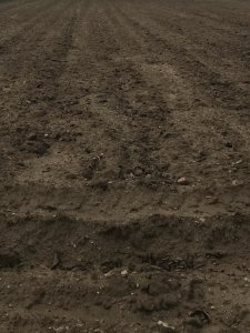 Terreno con opción a permuta 
