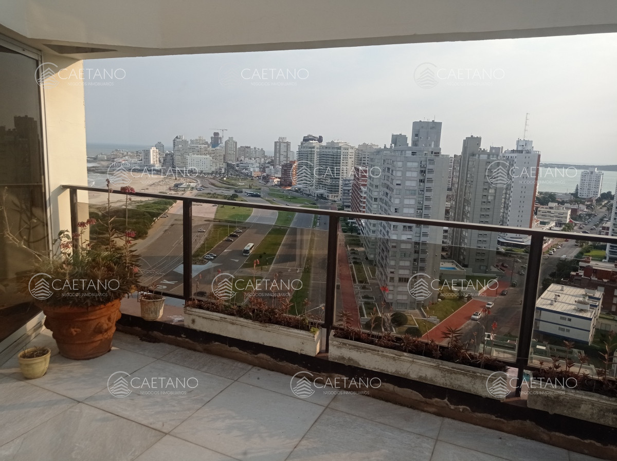 Brava - GoPunta - Portal Inmobiliario de Punta del Este - Maldonado