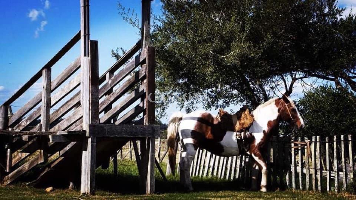 Campo Ref.3698 - Campo en San Carlos, 