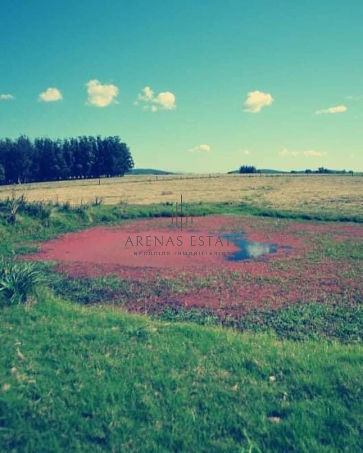Campo Ref.540 - Estancia en venta en Punta del Este 