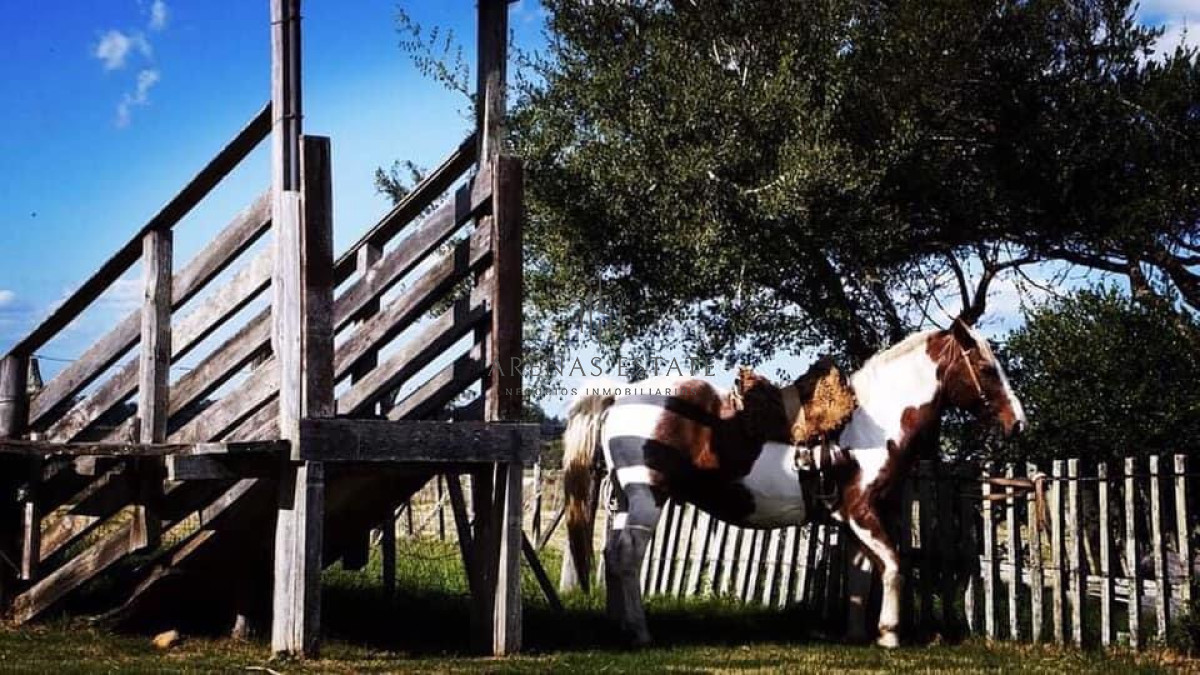 Campo Ref.540 - Estancia en venta en Punta del Este 
