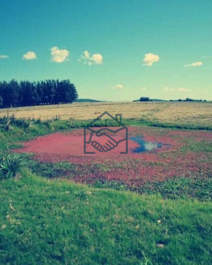 Campo Ref.501 - Campo en San Carlos, 