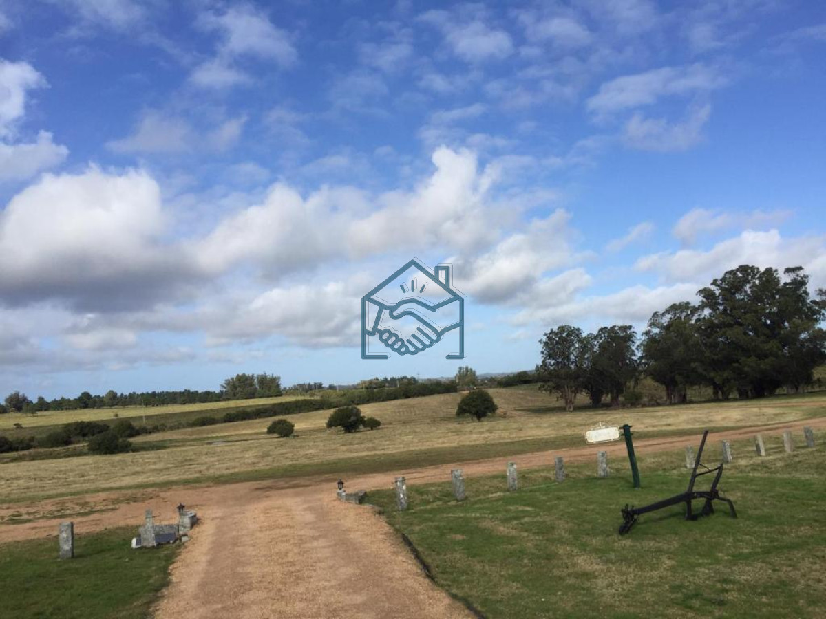 Campo Ref.501 - Campo en San Carlos, 