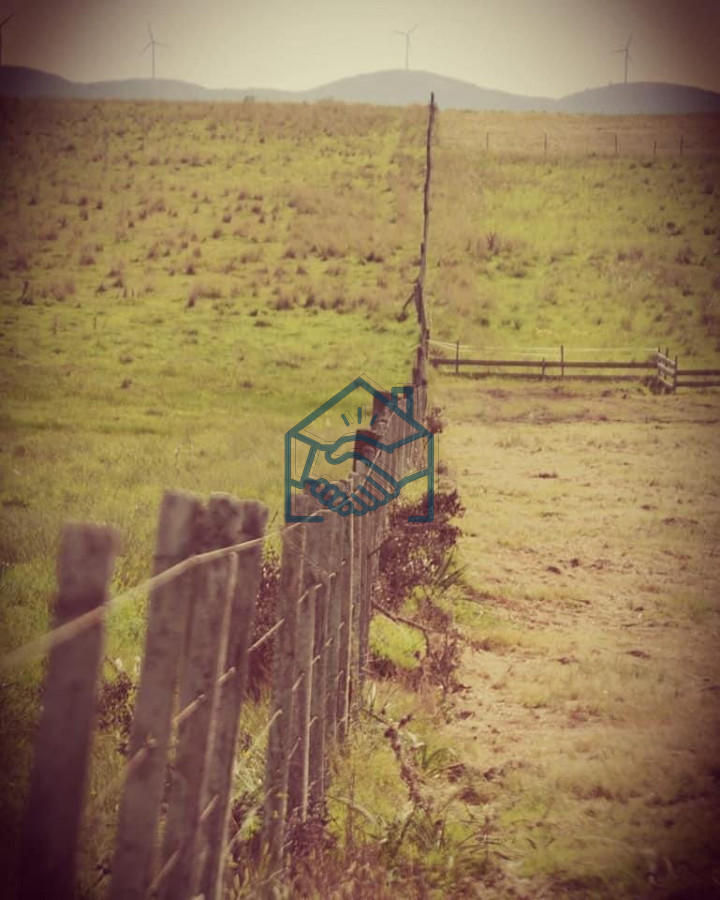 Campo Ref.501 - Campo en San Carlos, 