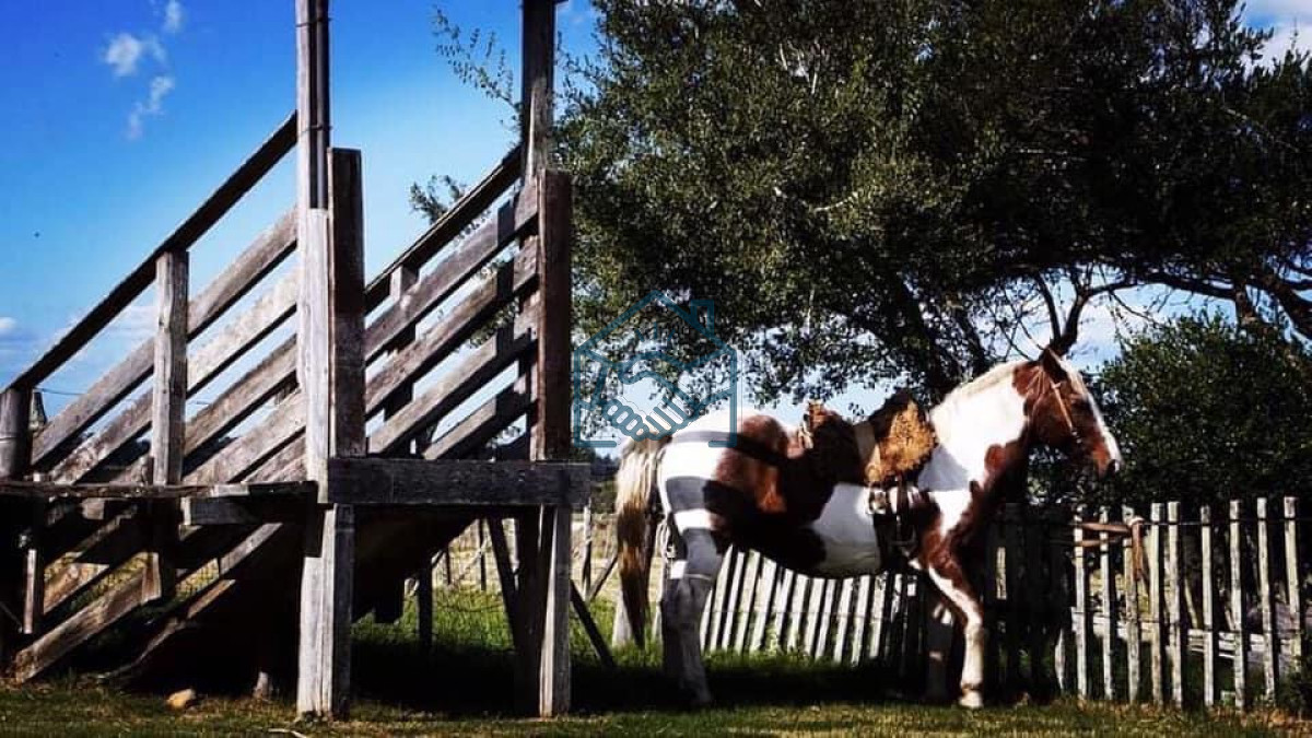 Campo Ref.501 - Campo en San Carlos, 
