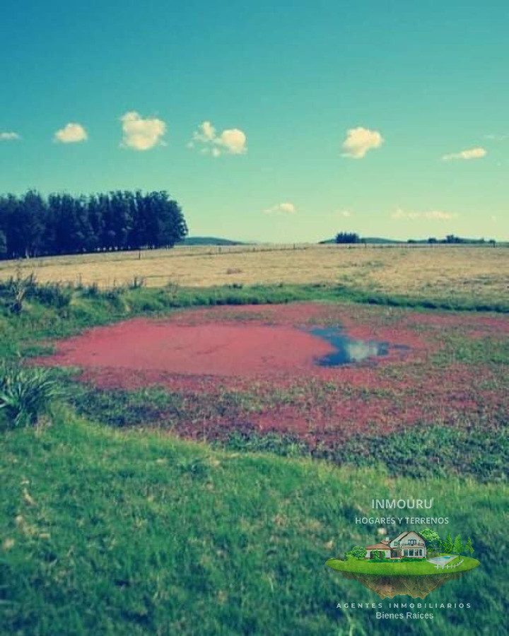 Campo Ref.789 - Campo en San Carlos, 