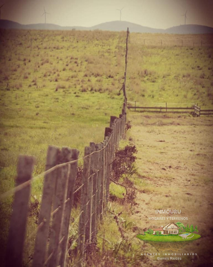 Campo Ref.789 - Campo en San Carlos, 