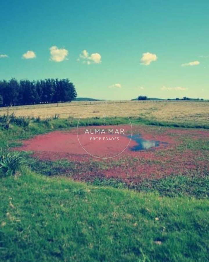 Campo Ref.55 - Campo en San Carlos, 