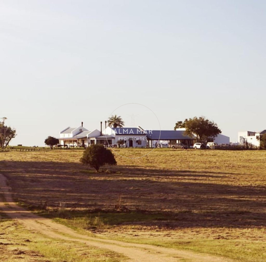 Campo Ref.55 - Campo en San Carlos, 
