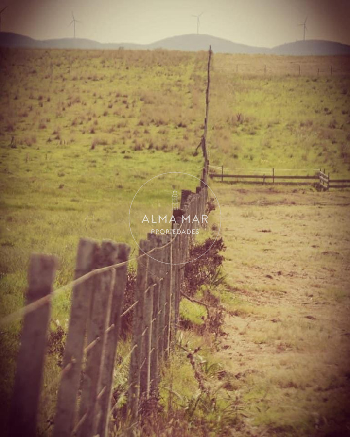 Campo Ref.55 - Campo en San Carlos, 