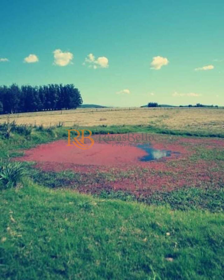Campo Ref.101 - Campo en San Carlos, 