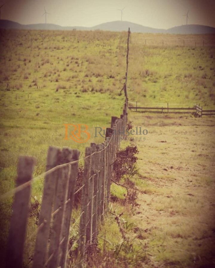 Campo Ref.101 - Campo en San Carlos, 