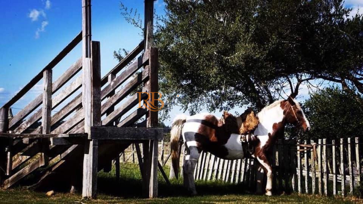 Campo Ref.101 - Campo en San Carlos, 