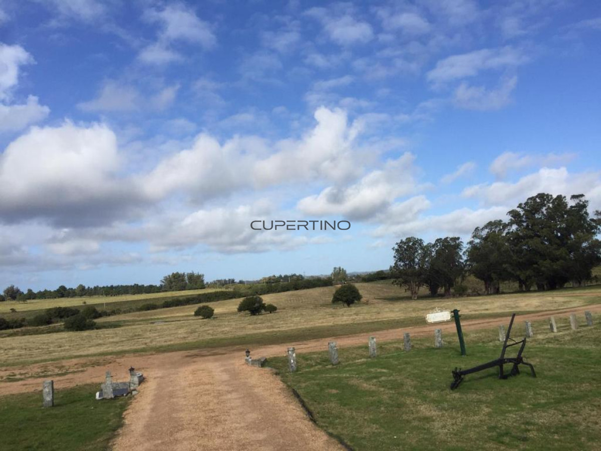 Campo Ref.1776 - Campo en San Carlos, 