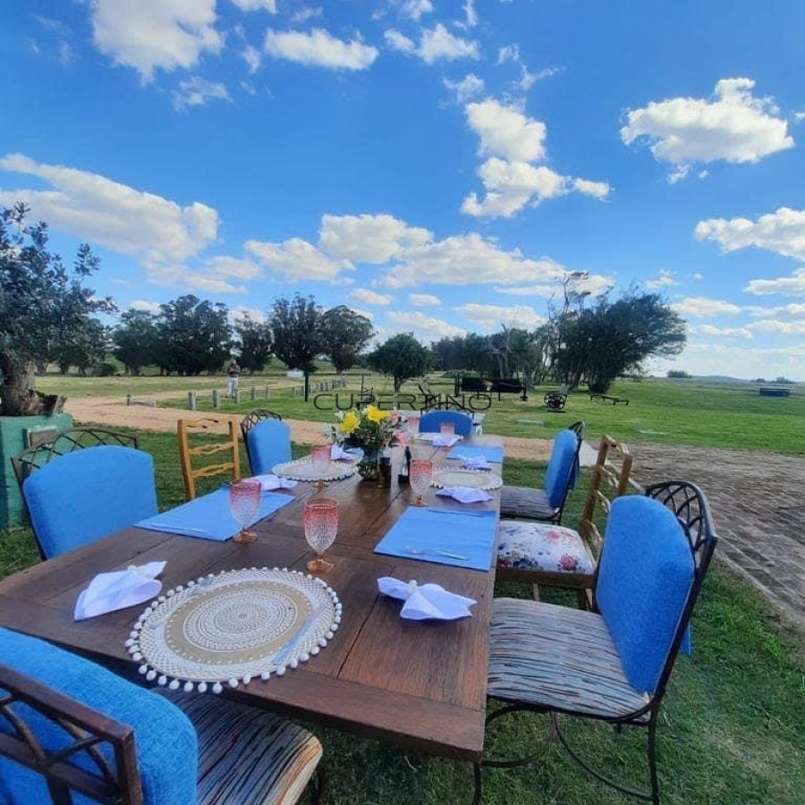 Campo Ref.1776 - Campo en San Carlos, 