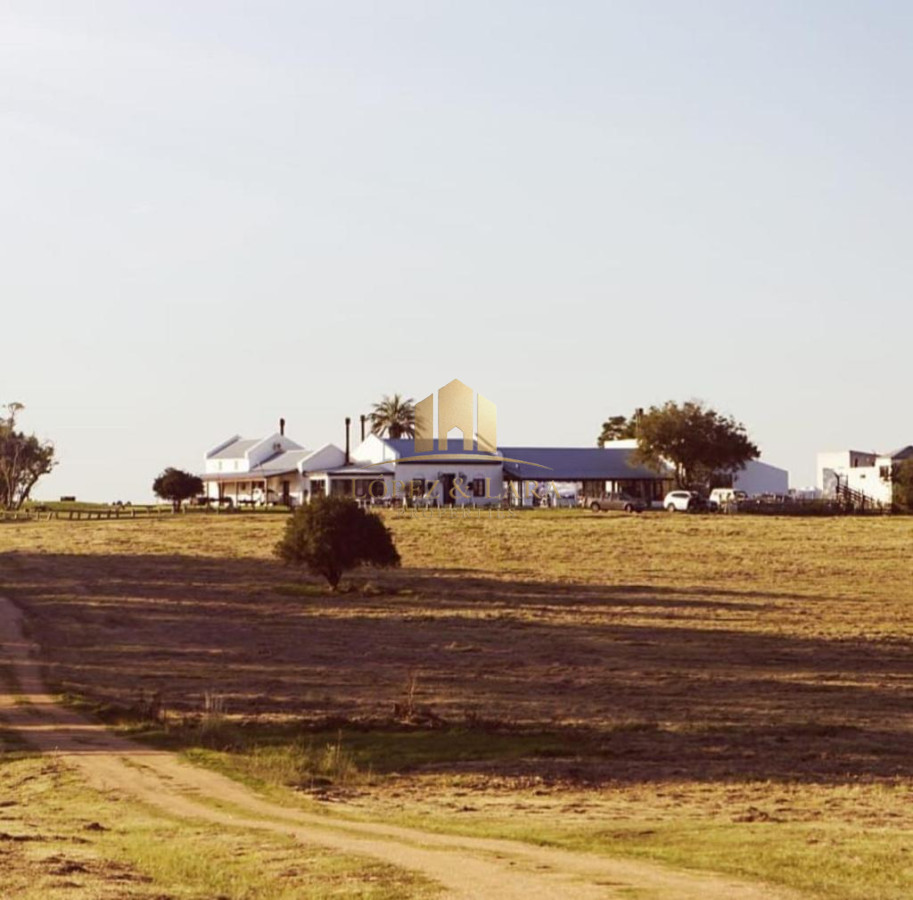 Campo Ref.28 - CHACRA DE REVISTA !!!