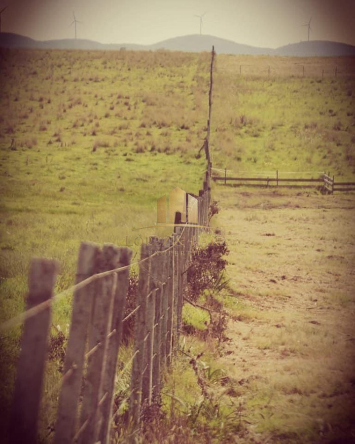 Campo Ref.28 - CHACRA DE REVISTA !!!