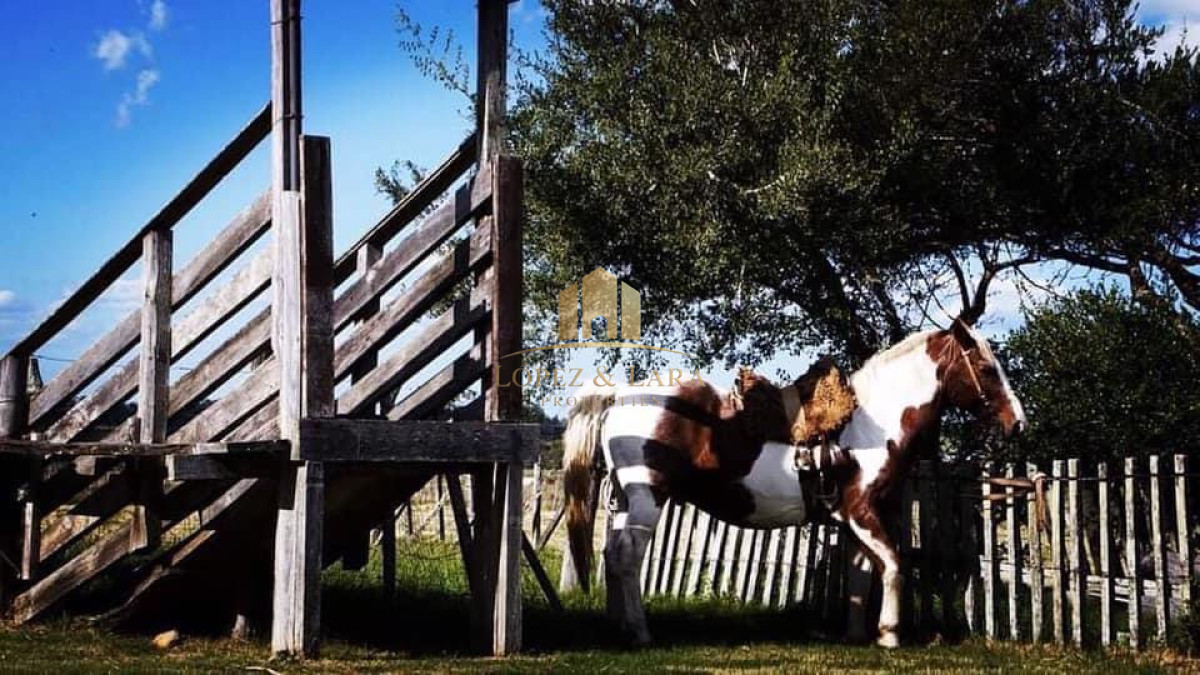 Campo Ref.28 - CHACRA DE REVISTA !!!