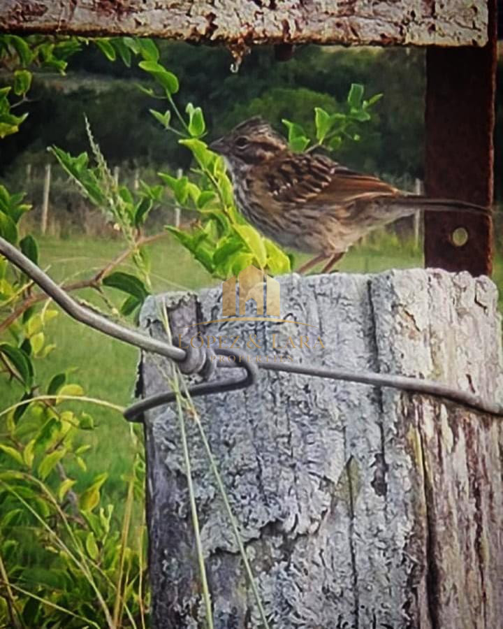 Campo Ref.28 - CHACRA DE REVISTA !!!