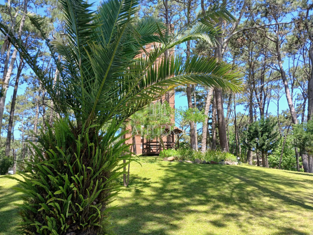 Apartamento ID.368 - Apartamento en Punta del Este, Arcobaleno