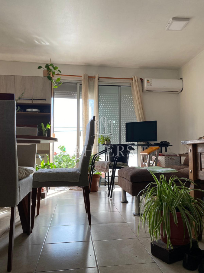 Apartamento ID.162 - Apartamento zona terminal de Maldonado