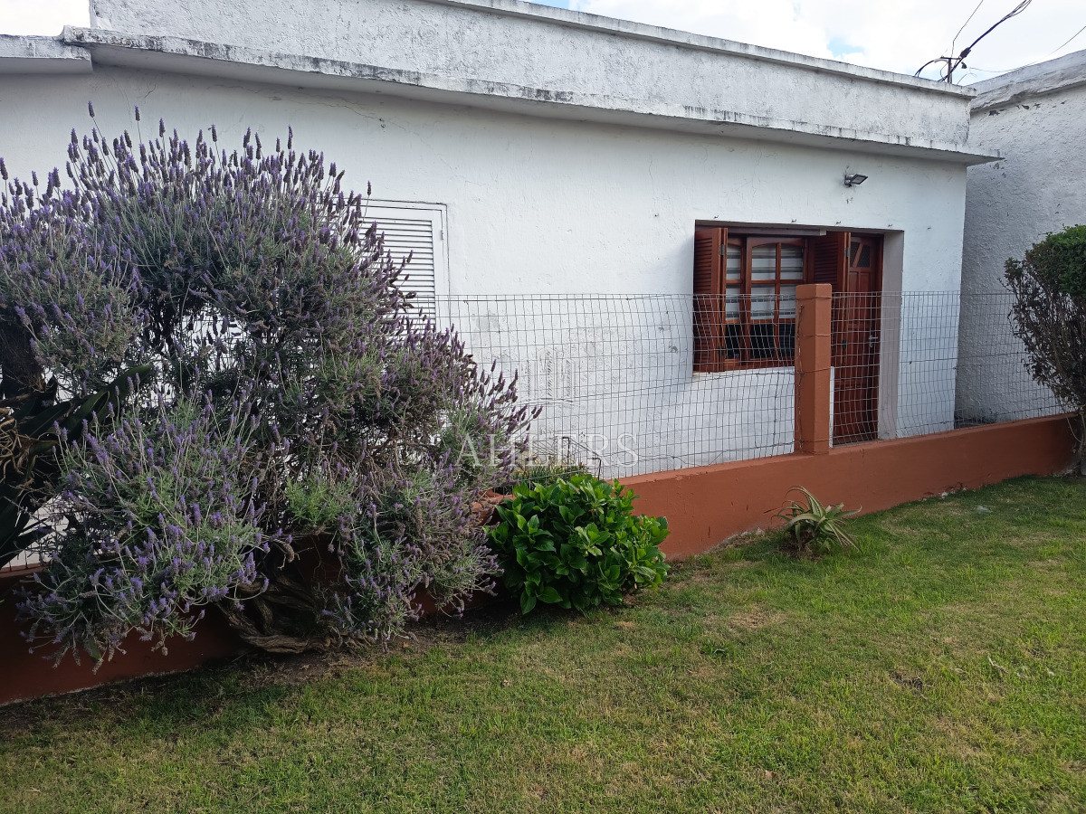 Casa ID.341 - Casa en Maldonado, Centro Maldonado