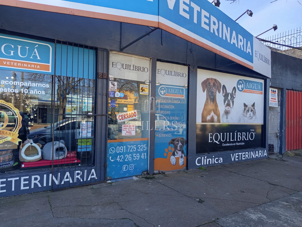 Casa ID.477 - Casa en Maldonado, 