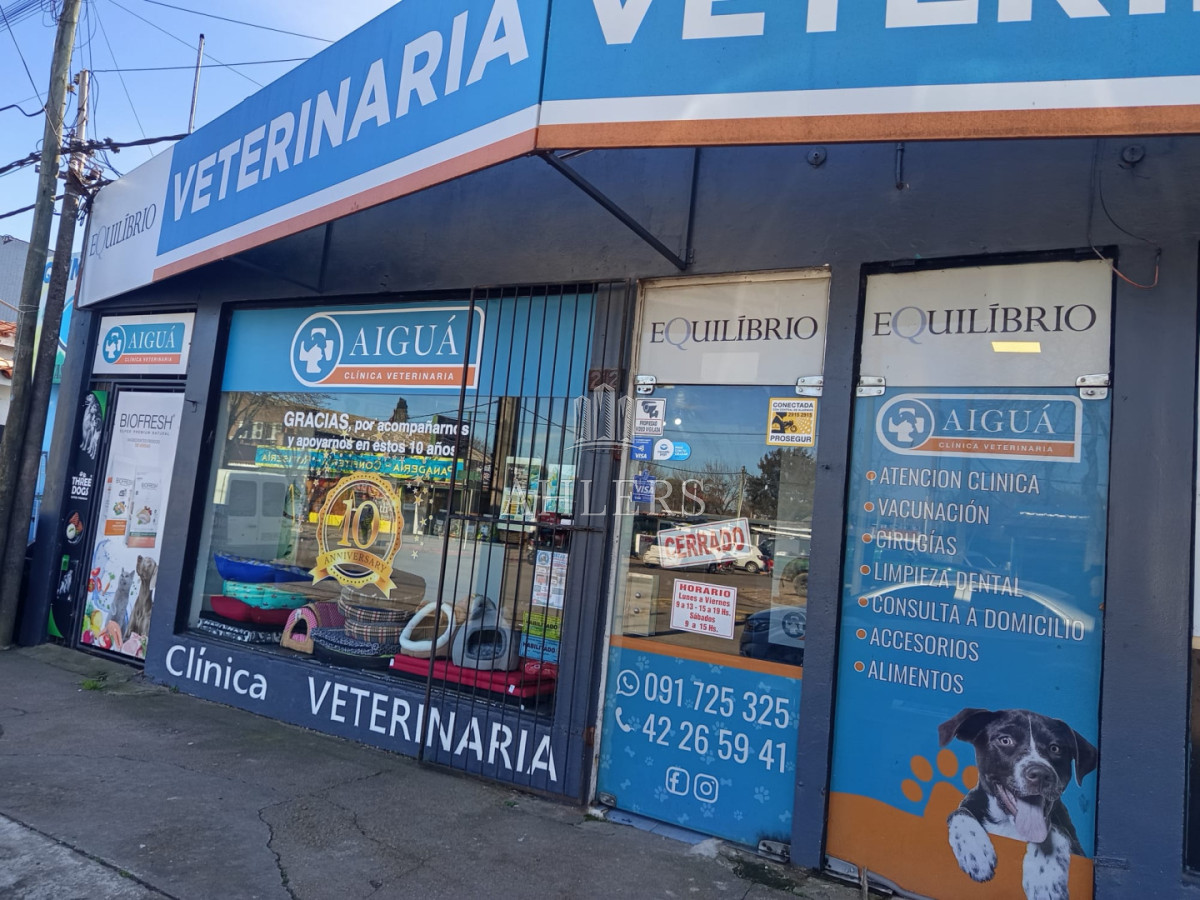 Casa ID.477 - Casa en Maldonado, 