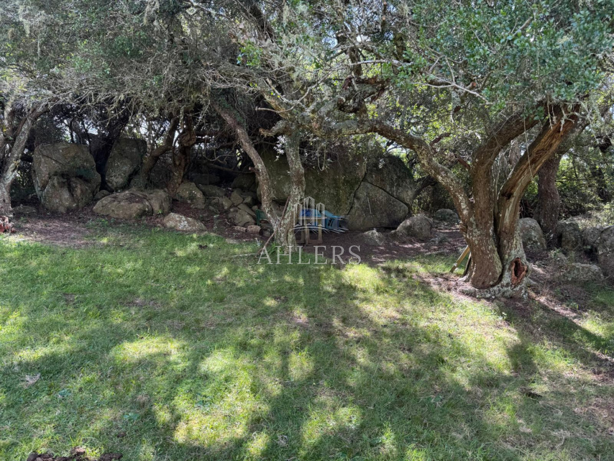 Campo Ref.405 - Campo en San Carlos, 