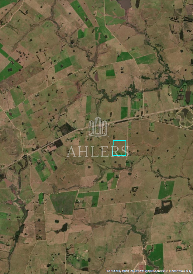 Campo Ref.229 - Campo 21,5 hás Ruta 9 casi Cno Sainz Martinez- José Ignacio