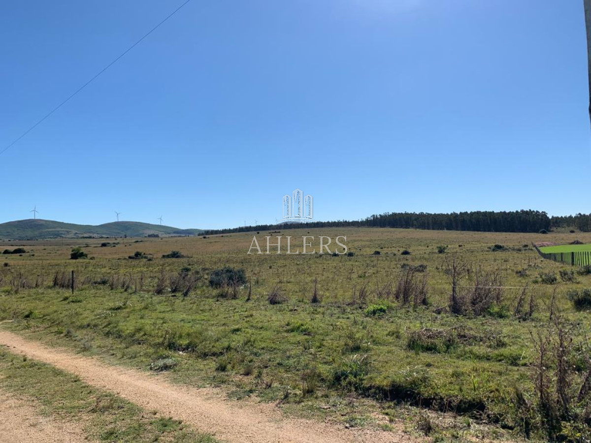 Campo Ref.121 - Campo en San Carlos, 