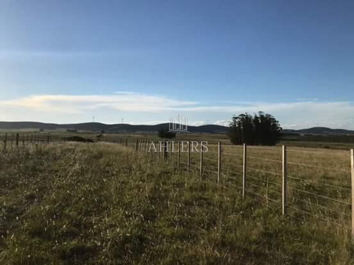 Campo Ref.121 - Campo en San Carlos, 