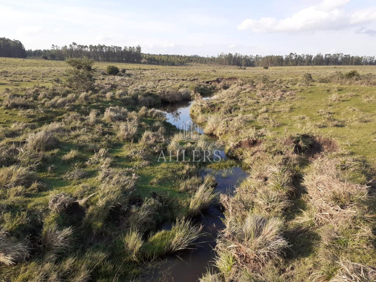 Campo Ref.121 - Campo en San Carlos, 