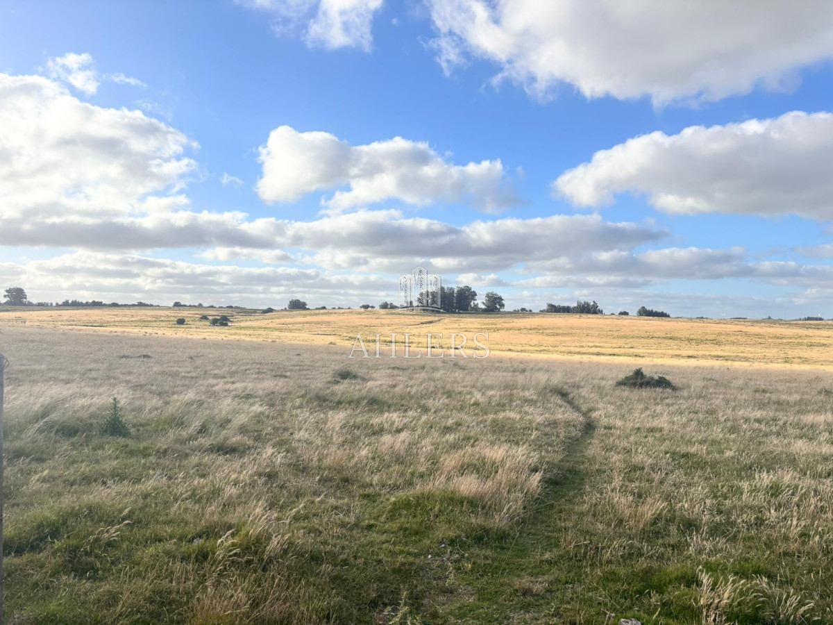 Campo Ref.229 - Campo 21,5 hás Ruta 9 casi Cno Sainz Martinez- José Ignacio