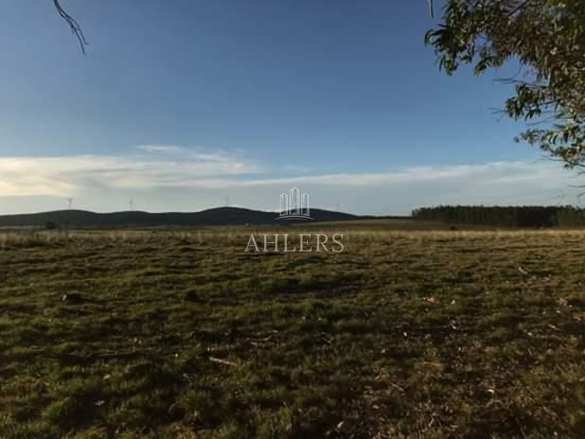 Campo Ref.121 - Campo en San Carlos, 
