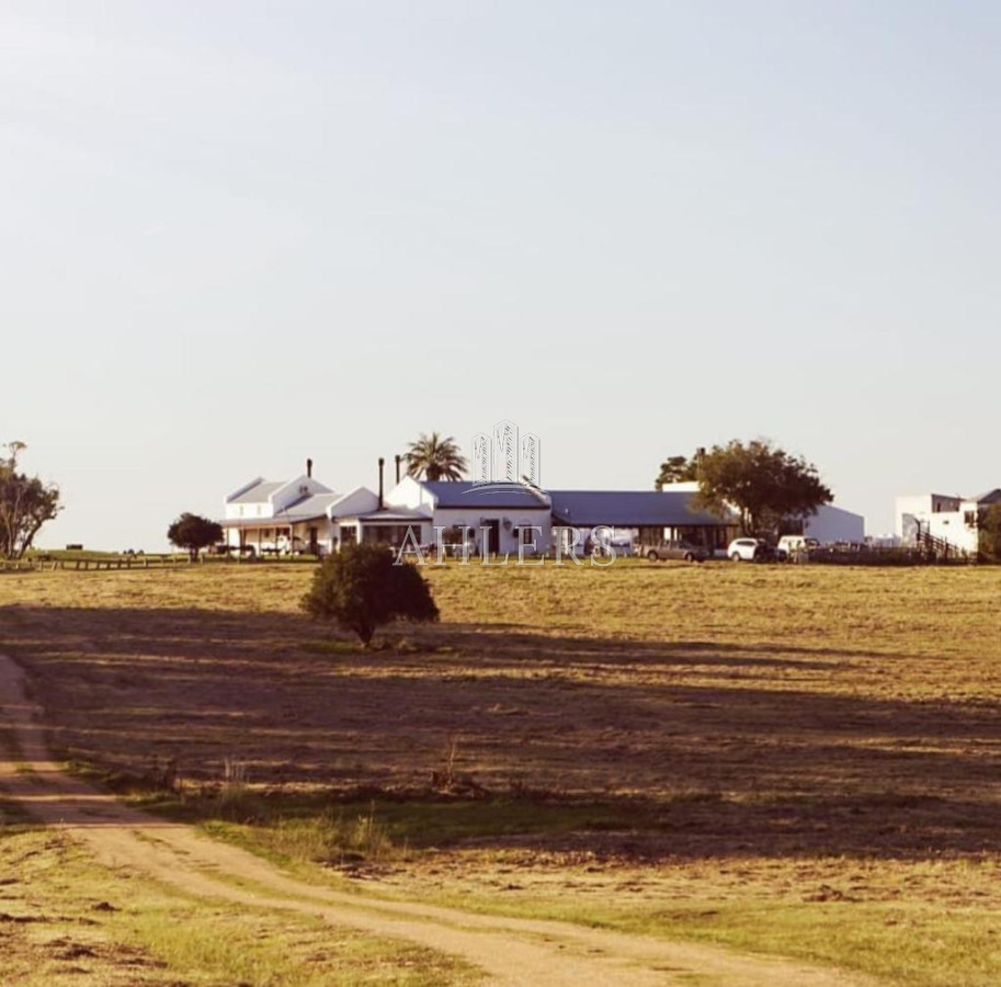 Campo Ref.41 - Campo en San Carlos, 