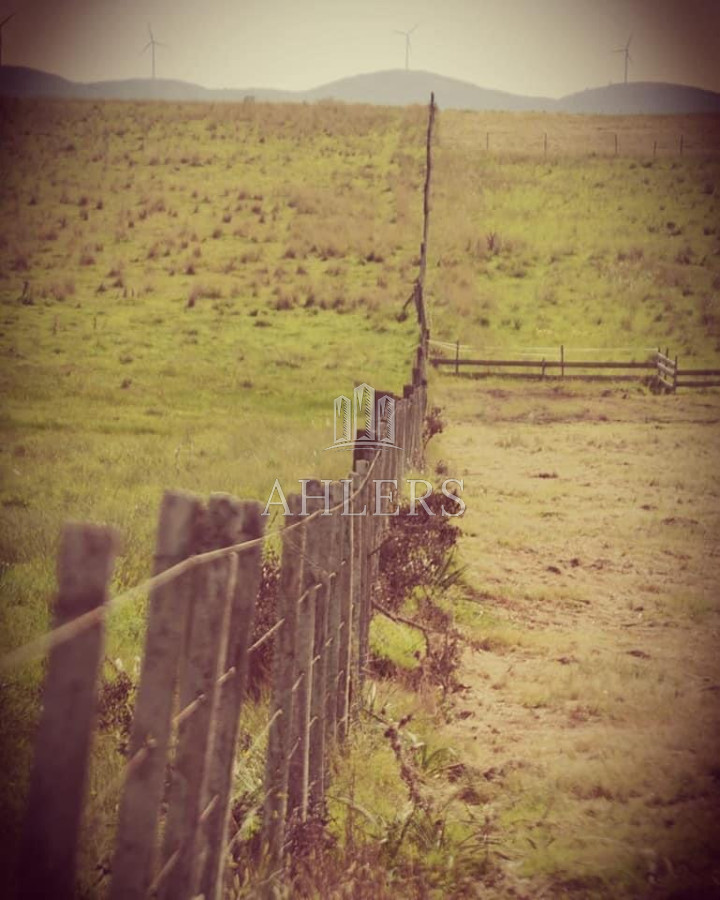 Campo Ref.41 - Campo en San Carlos, 