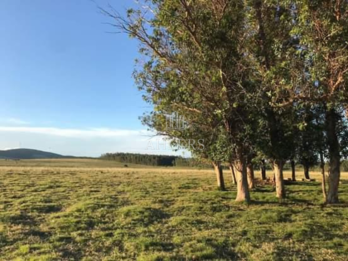 Campo Ref.121 - Campo en San Carlos, 