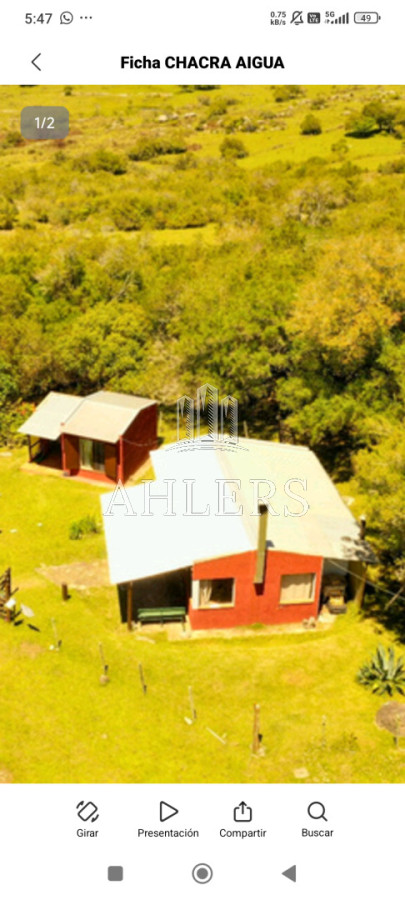 Campo Ref.405 - Se vende 14 hectáreas en ruta 39 entre San Carlos y Aigua