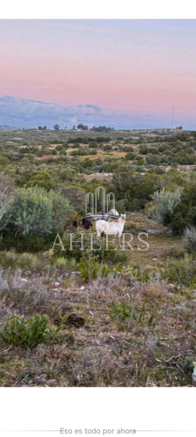 Campo Ref.405 - Se vende 14 hectáreas en ruta 39 entre San Carlos y Aigua
