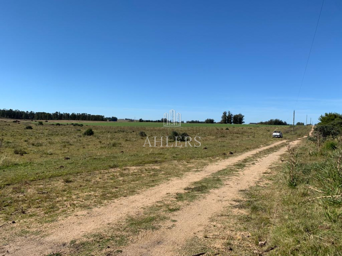 Campo Ref.121 - Campo en San Carlos, 