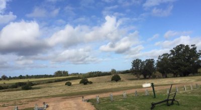 Campo Ref.41 - Campo en San Carlos, 