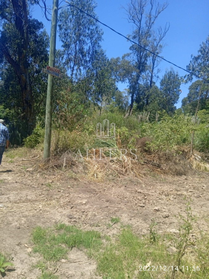 Terreno ID.446 - Terreno en Jose Ignacio, Santa Monica