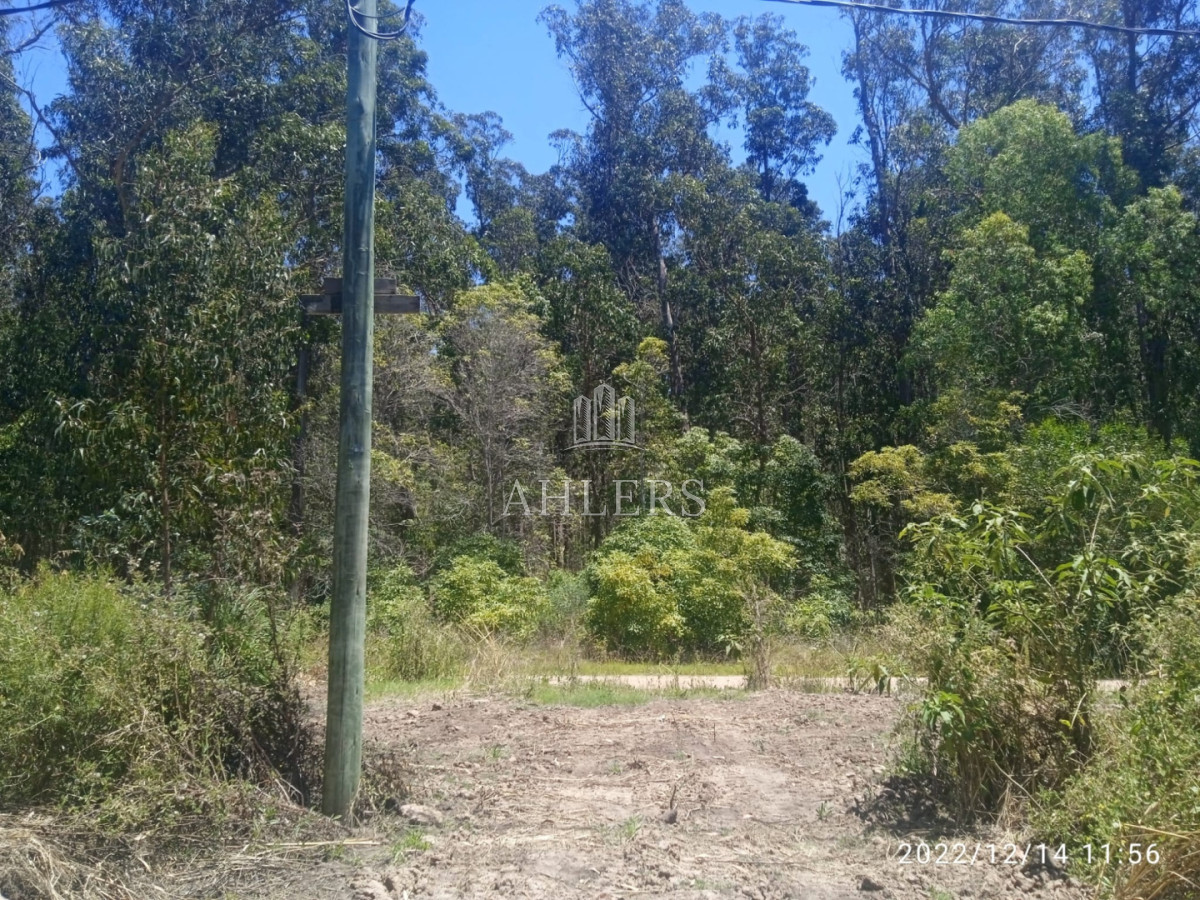 Terreno ID.446 - Terreno en Jose Ignacio, Santa Monica