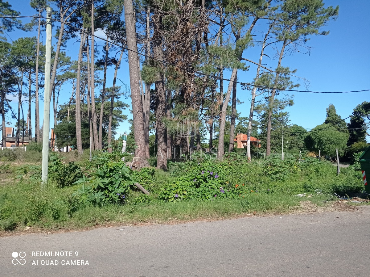 Terreno ID.108 - Terreno en Maldonado, Altos del Pinar