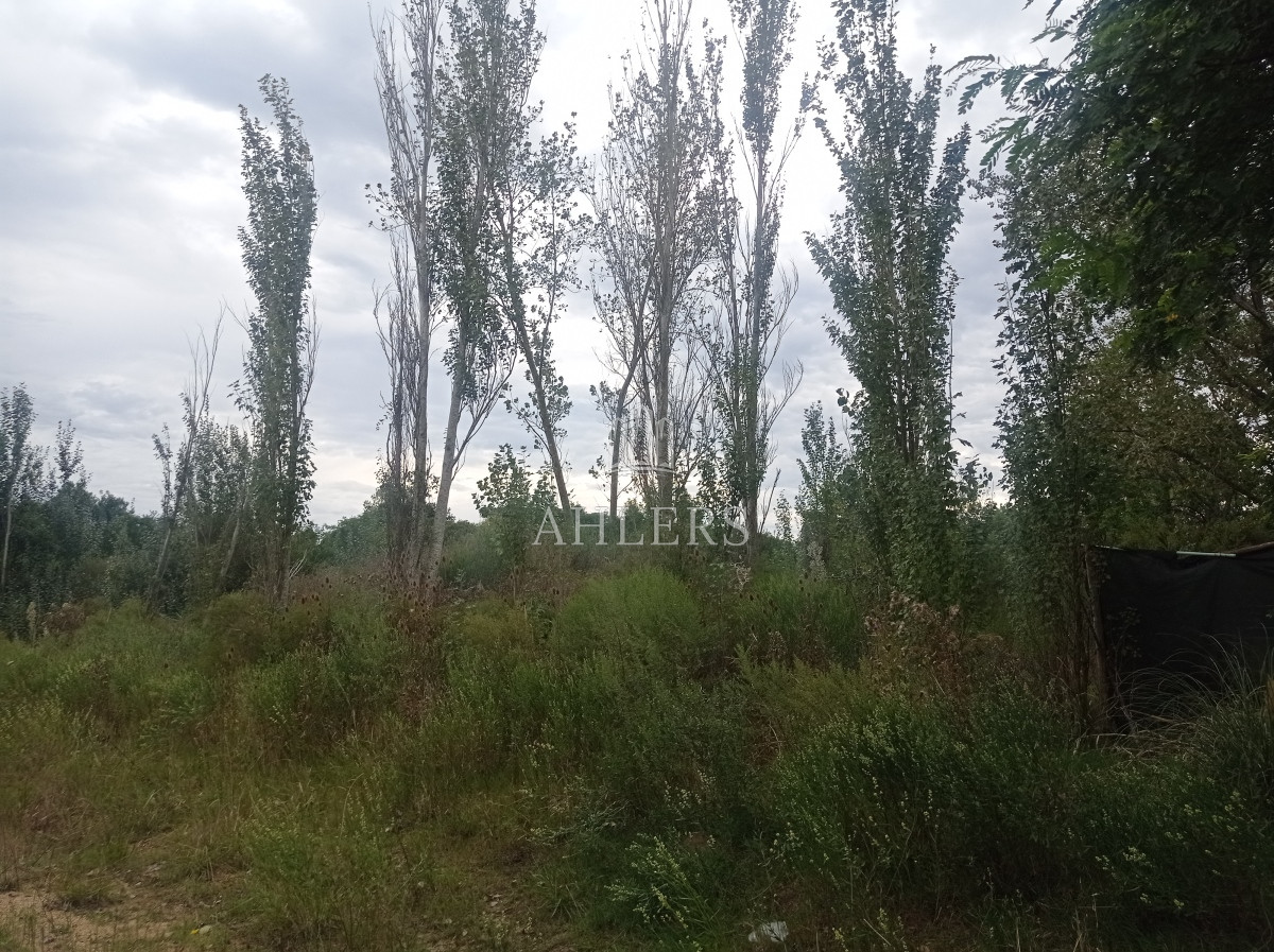 Terreno ID.163 - Terreno en Maldonado, Sin Clasificar