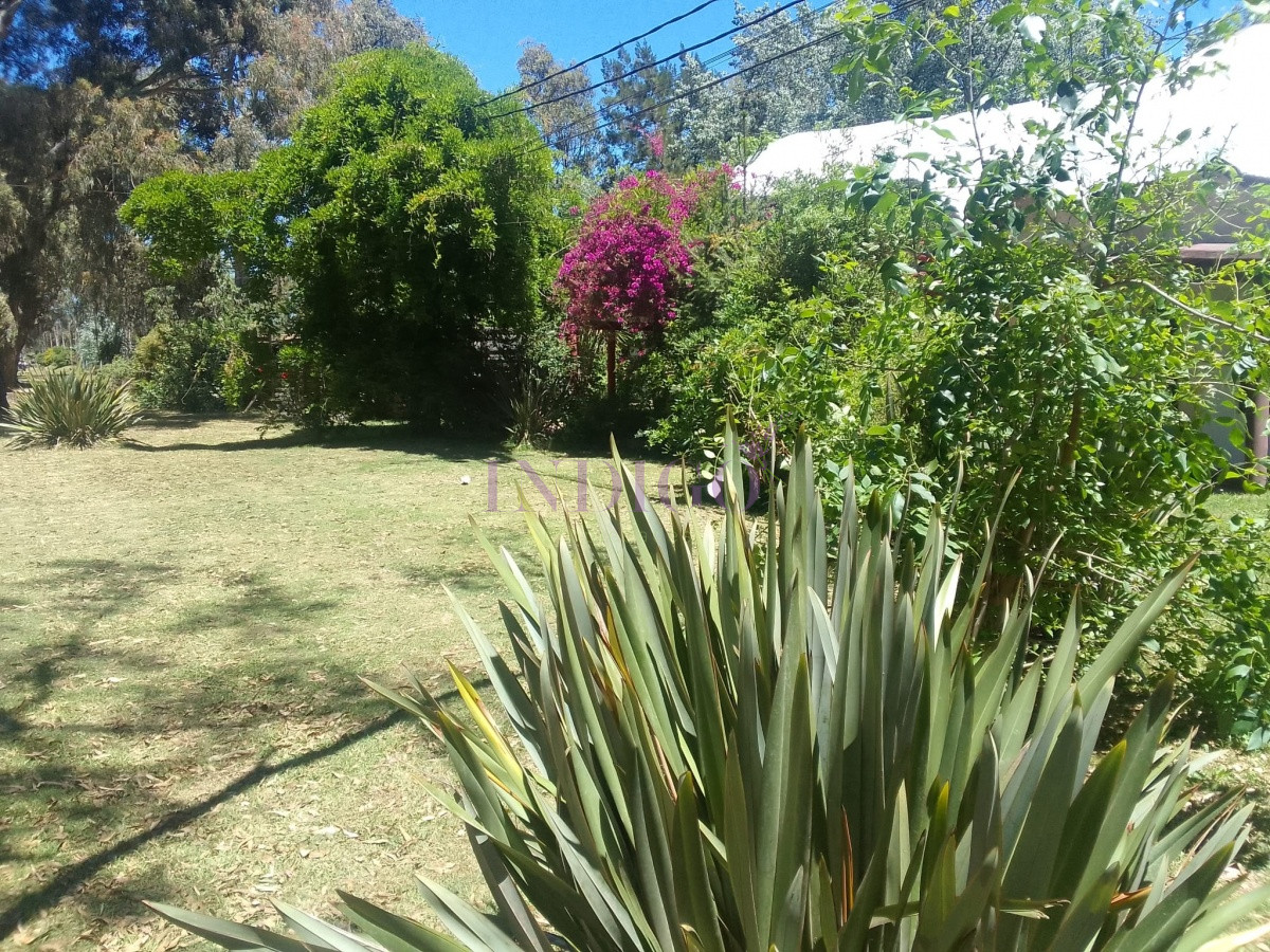 Casa Ref.993 - Casa El Museo