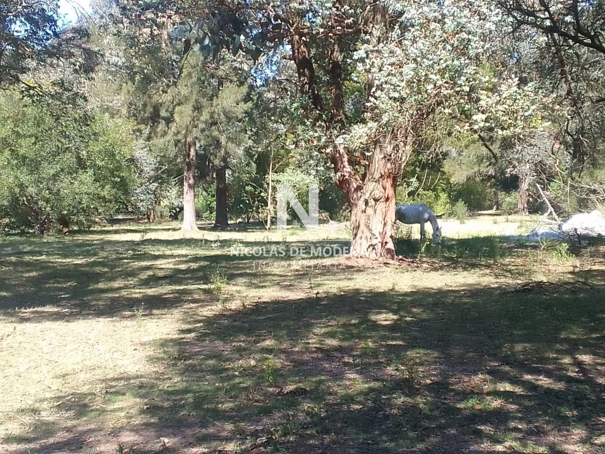 Chacra