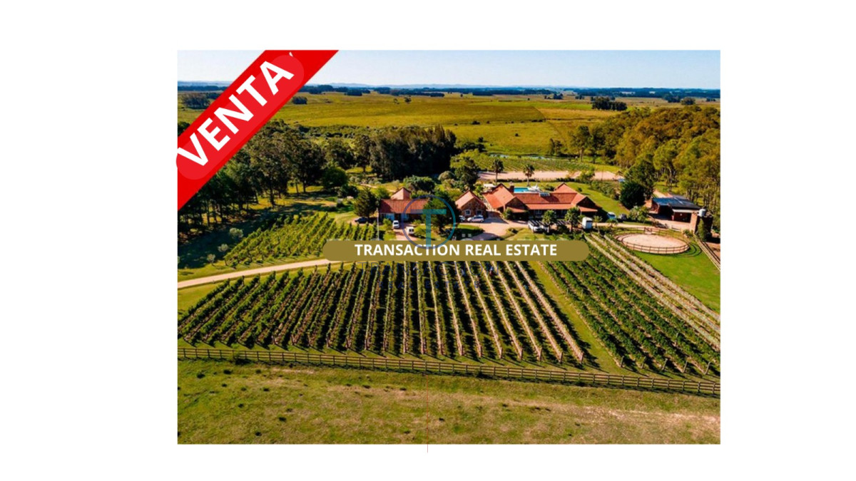 Casa ID.896/Casas-en-Venta--Transaction-Real-Estate - Espectacular Chacra con Viñedo